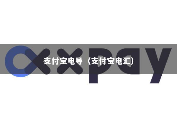 支付宝电导(支付宝电汇)