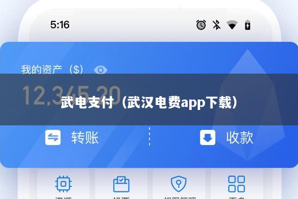 武电支付(武汉电费app下载)