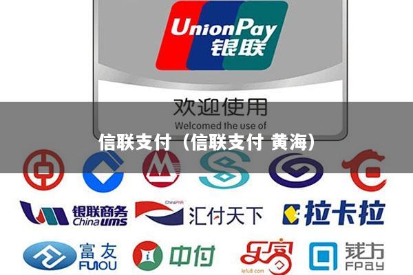 信联支付(信联支付 黄海)