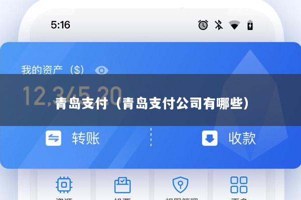 青岛支付(青岛支付公司有哪些)