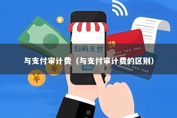 与支付审计费(与支付审计费的区别)