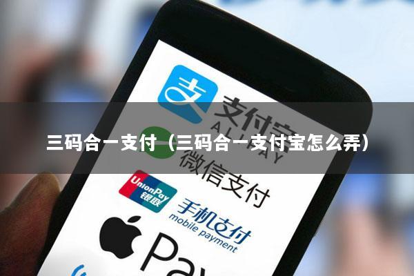 三码合一支付(三码合一支付宝怎么弄)
