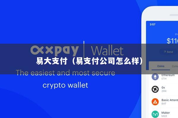 易大支付(易支付公司怎么样)