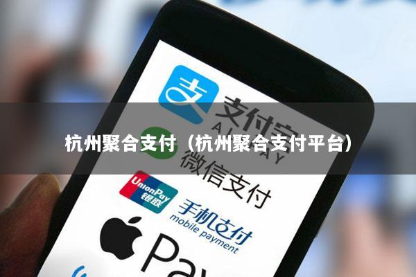 杭州聚合支付(杭州聚合支付平台)