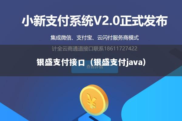 银盛支付接口(银盛支付java)