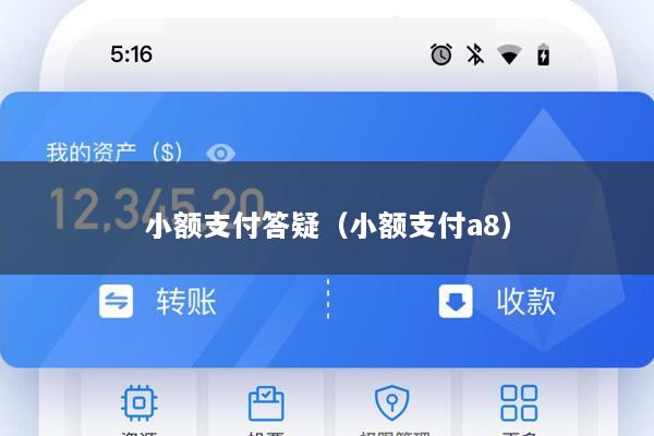 小额支付答疑(小额支付a8)