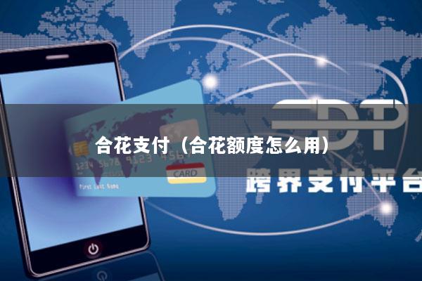 合花支付(合花额度怎么用)