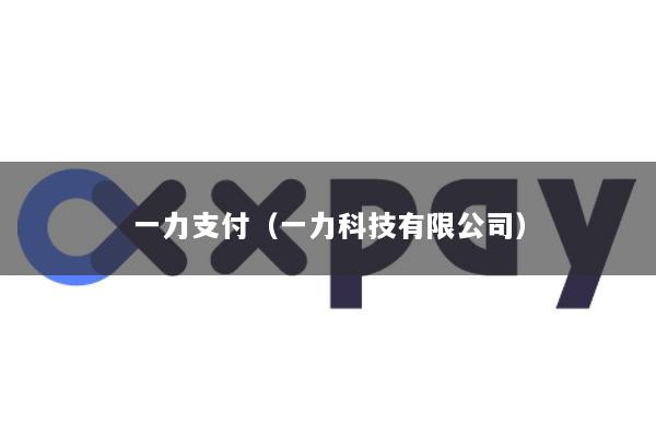 一力支付(一力科技有限公司)