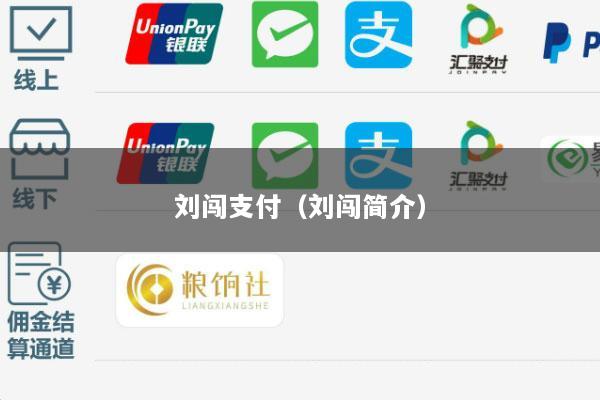 刘闯支付(刘闯简介)