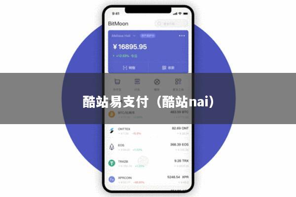 酷站易支付(酷站nai)
