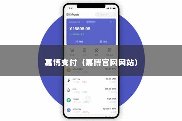 嘉博支付(嘉博官网网站)