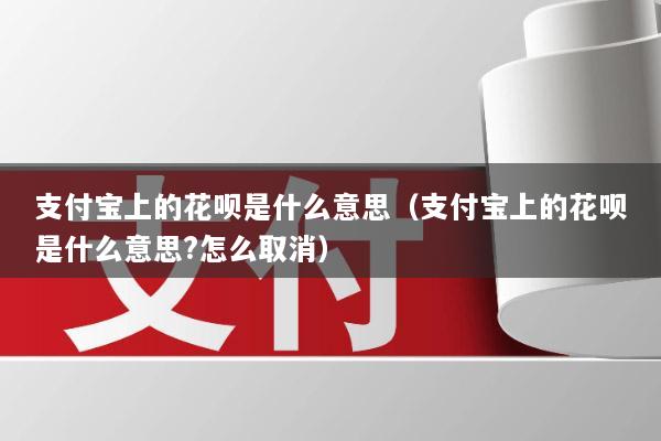 支付宝上的花呗是什么意思(支付宝上的花呗是什么意思?怎么取消)