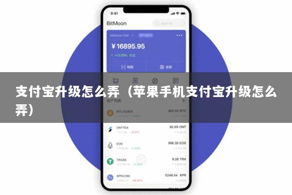 支付宝升级怎么弄(苹果手机支付宝升级怎么弄)