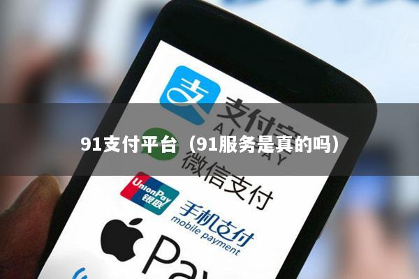 91支付平台(91服务是真的吗)