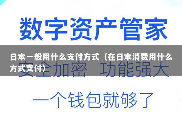 日本一般用什么支付方式(在日本消费用什么方式支付)