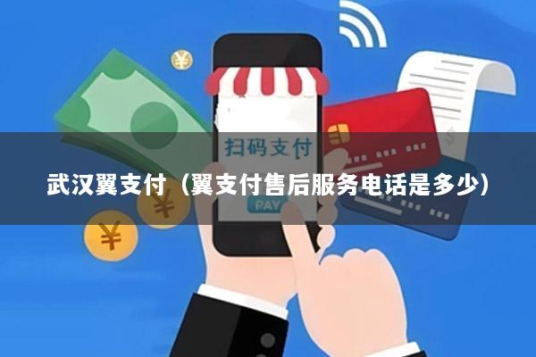 武汉翼支付(翼支付售后服务电话是多少)
