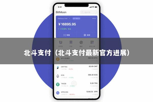 北斗支付(北斗支付最新官方进展)