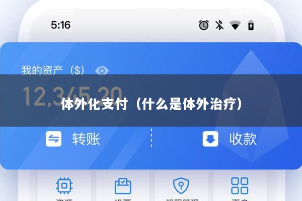 体外化支付(什么是体外治疗)