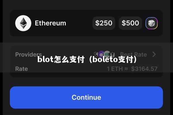 blot怎么支付(boleto支付)