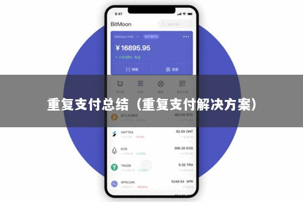 重复支付总结(重复支付解决方案)