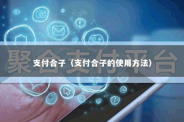 支付合子(支付合子的使用方法)