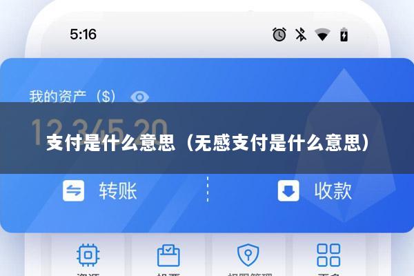 支付是什么意思(无感支付是什么意思)
