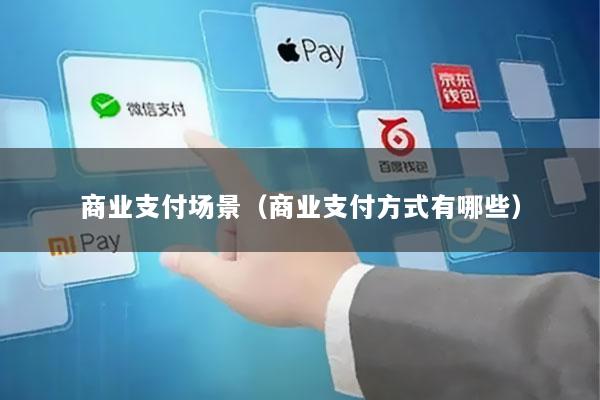 商业支付场景(商业支付方式有哪些)