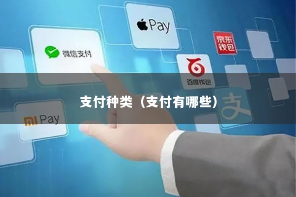 支付种类(支付有哪些)