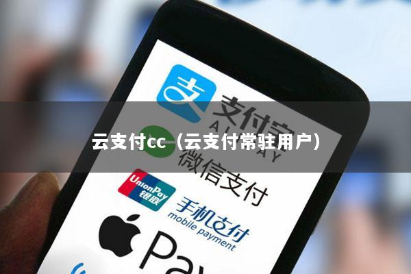 云支付cc(云支付常驻用户)