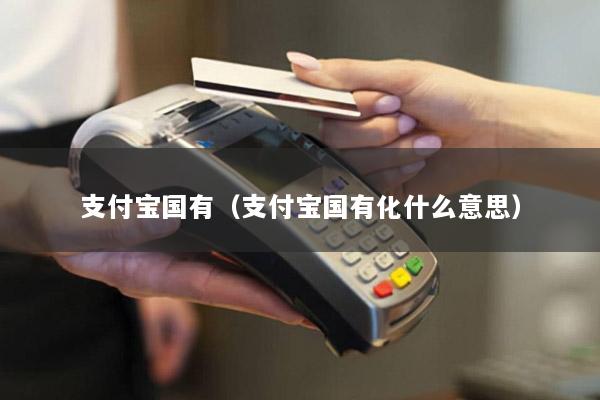 支付宝国有(支付宝国有化什么意思)