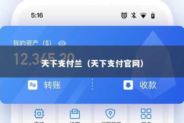 天下支付兰(天下支付官网)
