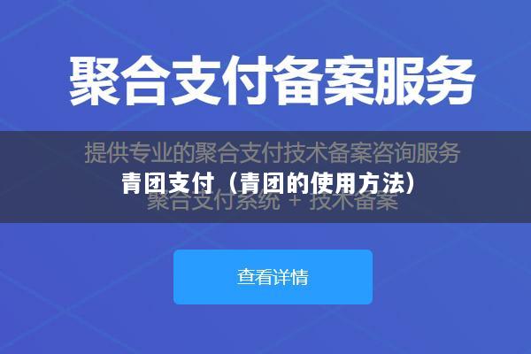 青团支付(青团的使用方法)