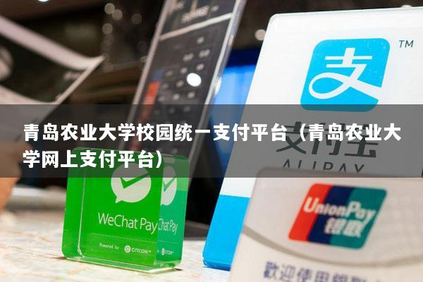 青岛农业大学校园统一支付平台(青岛农业大学网上支付平台)