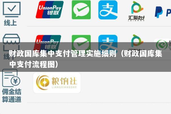 财政国库集中支付管理实施细则(财政国库集中支付流程图)