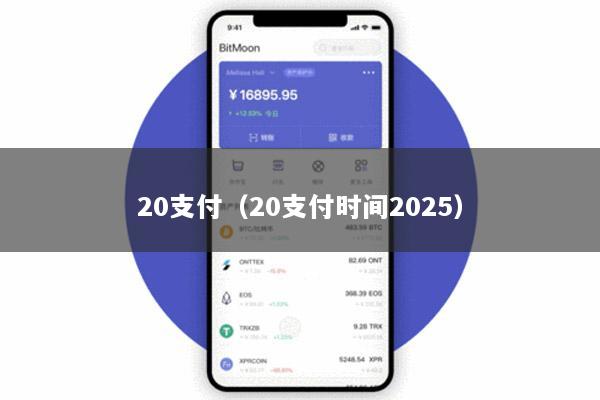 20支付(20支付时间2025)