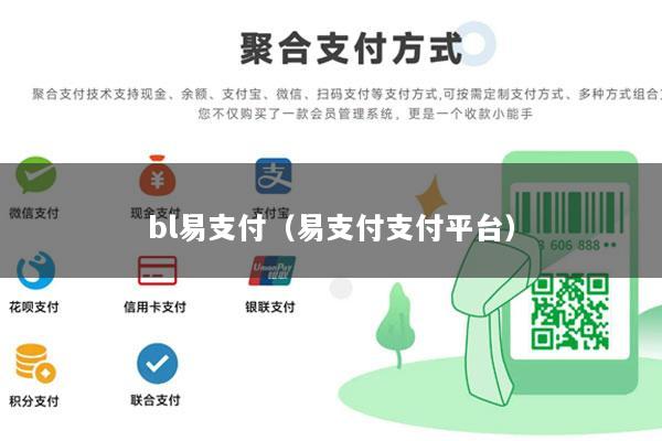 bl易支付(易支付支付平台)