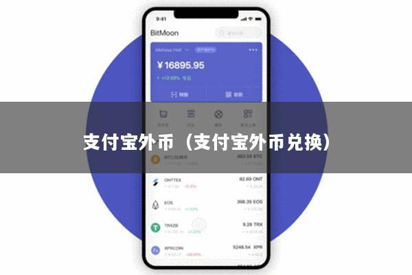 支付宝外币(支付宝外币兑换)