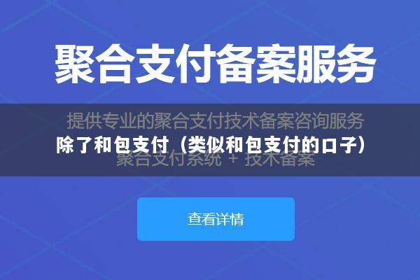 除了和包支付(类似和包支付的口子)