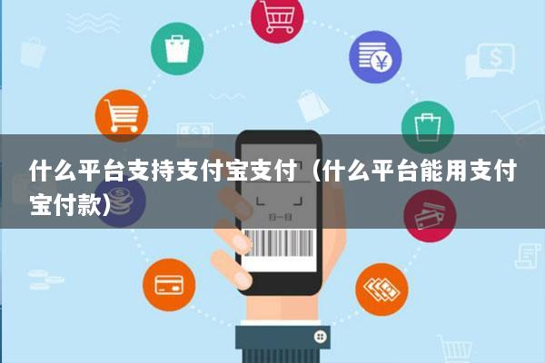 什么平台支持支付宝支付(什么平台能用支付宝付款)