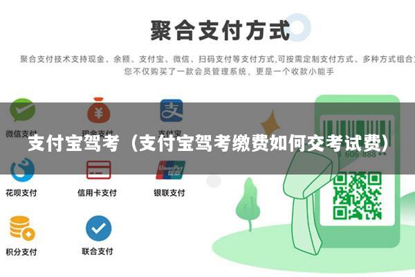 支付宝驾考(支付宝驾考缴费如何交考试费)