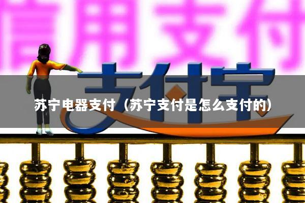 苏宁电器支付(苏宁支付是怎么支付的)